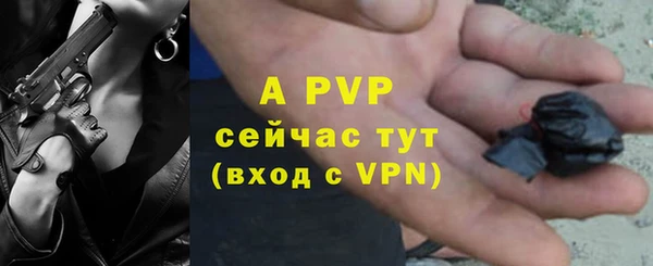 твердый Пересвет