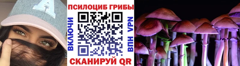 Купить где  Шадринск  Псилоцибиновые грибы Cubensis 